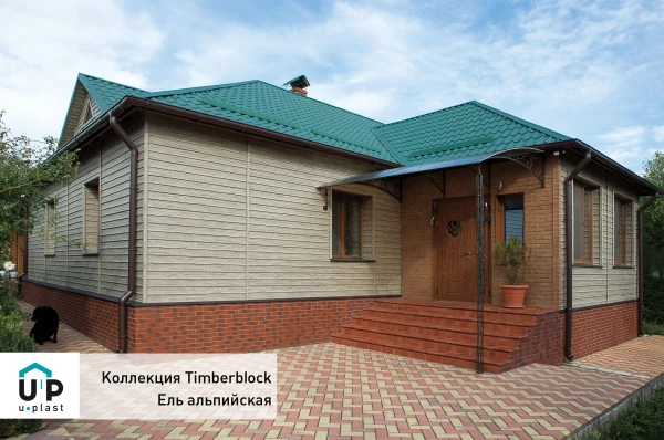 ель альпийская ель альпийская