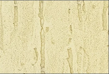 Фиброцементный сайдинг БЕТЭКО Вудрок (Короед) Светлая слоновая кость RAL1015