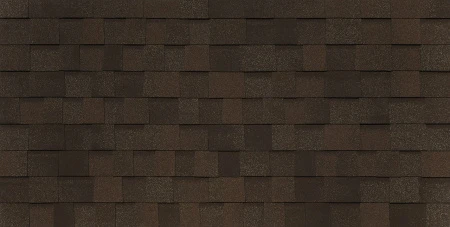 BUSINESS_PIEMONTE_castagna_matura_122