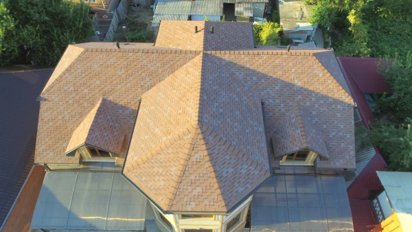 рш модерн робуста