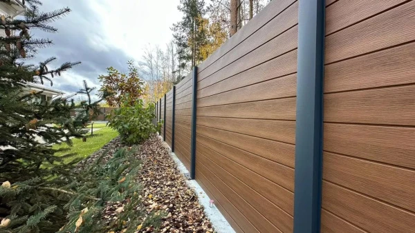 акв норвежский тис