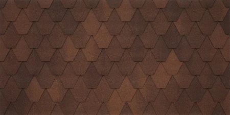 SARDEGNA_liberica_020